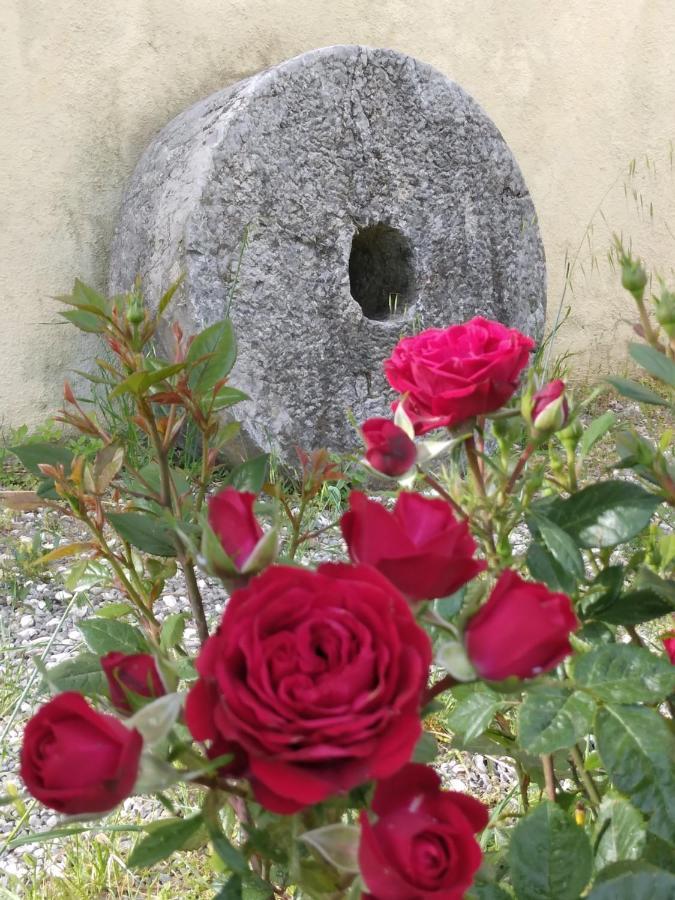 Il Giardino Di Julia B&B Tortora Exteriér fotografie