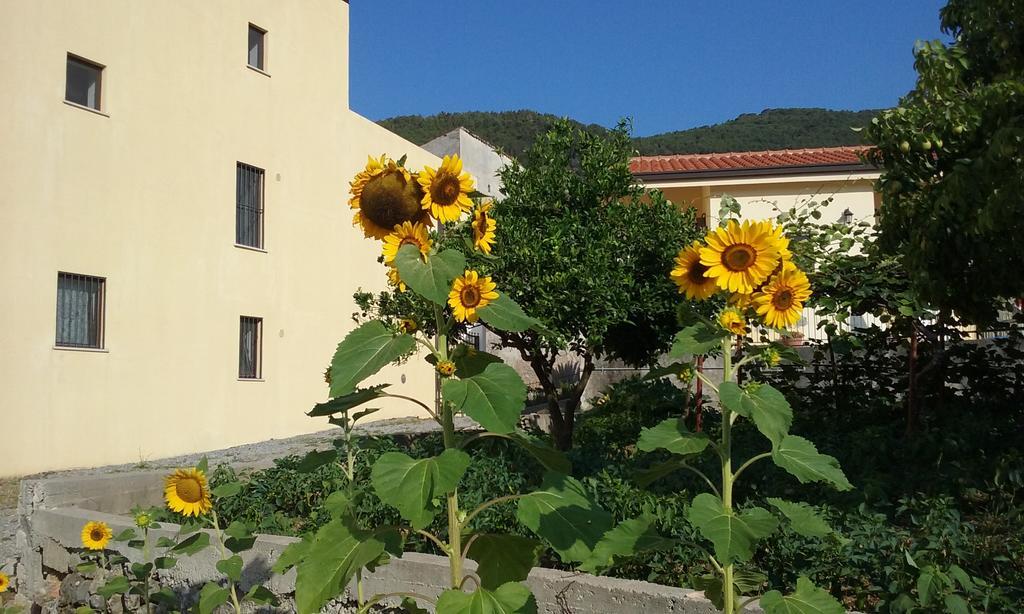 Il Giardino Di Julia B&B Tortora Exteriér fotografie