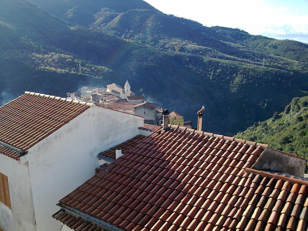 Il Giardino Di Julia B&B Tortora Exteriér fotografie