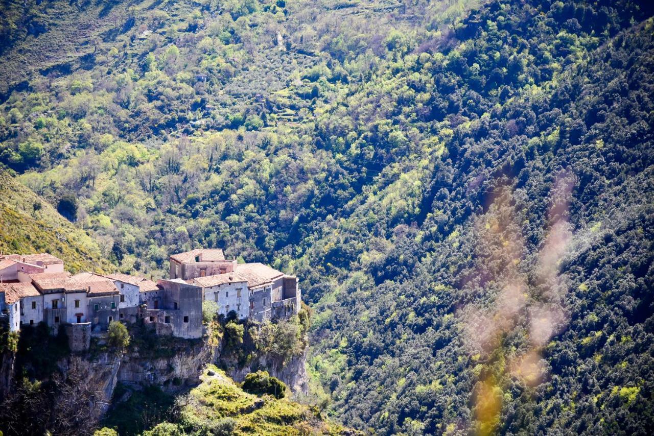 Il Giardino Di Julia B&B Tortora Exteriér fotografie