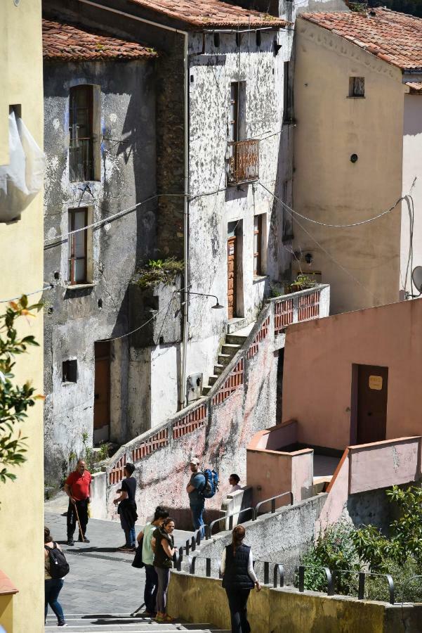 Il Giardino Di Julia B&B Tortora Exteriér fotografie